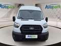 Ford Transit Kastenwagen Trend Front 350 L3H3 Weiß - thumbnail 9