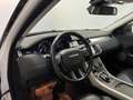 Land Rover Range Rover Evoque Range Rover Evoque 2.0 TD4 150 CV 5p. SE Dynamic Blanco - thumbnail 14