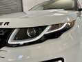 Land Rover Range Rover Evoque Range Rover Evoque 2.0 TD4 150 CV 5p. SE Dynamic Blanco - thumbnail 5