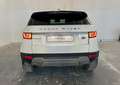 Land Rover Range Rover Evoque Range Rover Evoque 2.0 TD4 150 CV 5p. SE Dynamic Blanco - thumbnail 7
