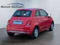 Fiat 500 Lounge 1.2 Pano Navi Klimaautom PDC Kom-paket CD B Rot - thumbnail 5