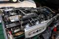 Jaguar E-Type Serie 3 V12 OTS Manual Verde - thumbnail 35