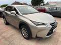 Lexus NX 300h 300h AWD 2,5 hybrid 197cv 4x4 - thumbnail 6