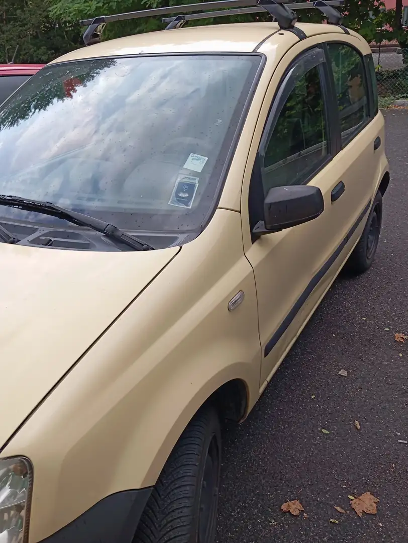 Fiat Panda 1.3 mjt 16v 4x4 - 2