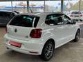 Volkswagen Polo V Allstar 1.2 TSI DSG *SHZ*PAN*LED*PDC* Blanco - thumbnail 4