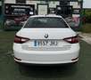Skoda Superb 2.0TDI Ambition DSG 110kW Blanc - thumbnail 6