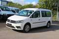 Volkswagen Caddy Nfz Maxi Kombi BMT Navi+Klima Weiß - thumbnail 1