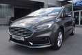Ford S-Max 2.5 Duratec FHEV TITANIUM ACC,Kamera,LED Grau - thumbnail 1