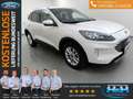 Ford Kuga 2.0 EcoBlue 4x4 Aut. Titanium X AHK+iACC Weiß - thumbnail 1