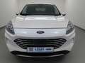 Ford Kuga 2.0 EcoBlue 4x4 Aut. Titanium X AHK+iACC Weiß - thumbnail 6