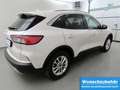 Ford Kuga 2.0 EcoBlue 4x4 Aut. Titanium X AHK+iACC Weiß - thumbnail 4