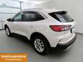 Ford Kuga 2.0 EcoBlue 4x4 Aut. Titanium X AHK+iACC Weiß - thumbnail 3