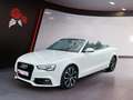 Audi A5 Cabriolet 3.0 quattro S-line B&O Xenon Navi RFK A Weiß - thumbnail 2
