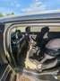 Ford Galaxy Galaxy 2,0 EcoBlue SCR AWD Titanium Aut. Titanium Grau - thumbnail 13