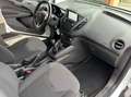 Ford Transit Courier 1.5 tdci 75cv S&S Entry my20 Bianco - thumbnail 11