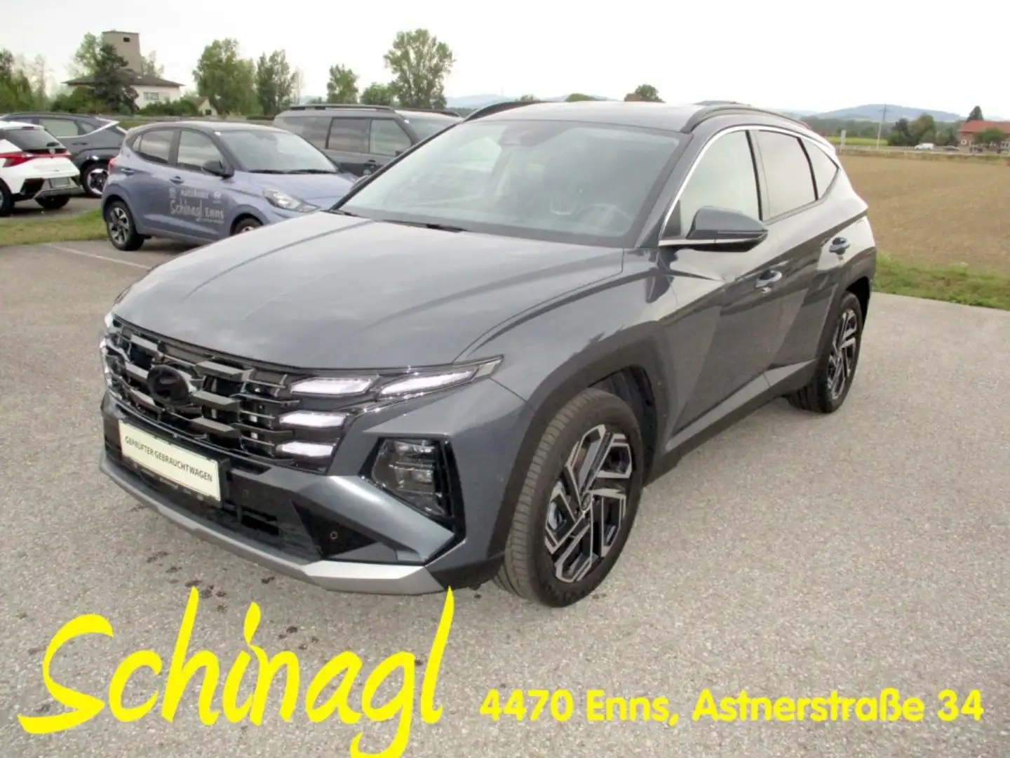 Hyundai TUCSON NX4 Prestige Line 1,6 CRDi 4WD 48V DCT t5dp1-PP1 -AHK Grau - 1