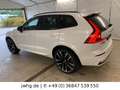 Volvo XC60 Ultimate Dark Hybrid AWD T8 22" HeadUp 360K Blanc - thumbnail 9