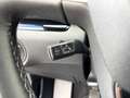 SEAT Alhambra Executive 2,0 TDI, ACC, Kamera, Totwinkelassist... Grau - thumbnail 13