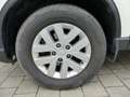 SsangYong Musso Musso Grand DK 2,2 e-Xdi Crystal 4WD AHK Kamera Wit - thumbnail 13