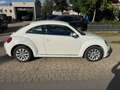 Volkswagen Beetle 1.6 TDi Design*Navi+Klimaat*guter Zustand Biały - thumbnail 5