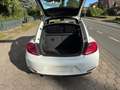 Volkswagen Beetle 1.6 TDi Design*Navi+Klimaat*guter Zustand Biały - thumbnail 9