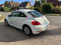 Volkswagen Beetle 1.6 TDi Design*Navi+Klimaat*guter Zustand Biały - thumbnail 8
