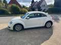 Volkswagen Beetle 1.6 TDi Design*Navi+Klimaat*guter Zustand Biały - thumbnail 1