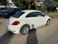 Volkswagen Beetle 1.6 TDi Design*Navi+Klimaat*guter Zustand Biały - thumbnail 6