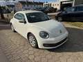 Volkswagen Beetle 1.6 TDi Design*Navi+Klimaat*guter Zustand Biały - thumbnail 3