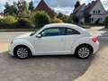 Volkswagen Beetle 1.6 TDi Design*Navi+Klimaat*guter Zustand Biały - thumbnail 4