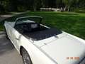 Triumph TR4 Roadster Weiß - thumbnail 22