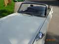 Triumph TR4 Roadster Weiß - thumbnail 21