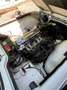 Triumph TR4 Roadster Weiß - thumbnail 16
