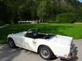 Triumph TR4 Roadster Weiß - thumbnail 8