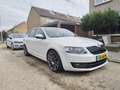 Skoda Octavia 1.4 TSI Grt Edition Bns Wit - thumbnail 2