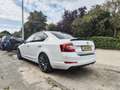 Skoda Octavia 1.4 TSI Grt Edition Bns Wit - thumbnail 4