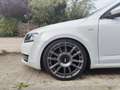 Skoda Octavia 1.4 TSI Grt Edition Bns Wit - thumbnail 6