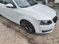 Skoda Octavia 1.4 TSI Grt Edition Bns Wit - thumbnail 7