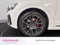 Audi Q8 50 TDI qu. S-Line+Laser+Pano+AHK+Stdhzg+22''+B&O+U Weiß - thumbnail 22