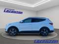 Hyundai SANTA FE 2.4 Family 7-Sitzer AHK-abnehmbar Mehrzonenklima M Weiß - thumbnail 8
