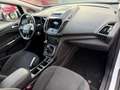 Ford C-Max 1.5 DIESEL 120CV ANNO 2018-IMPECCABILE Bianco - thumbnail 12