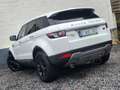 Land Rover Range Rover Evoque Pano*Xenon*Cuir Wit - thumbnail 5