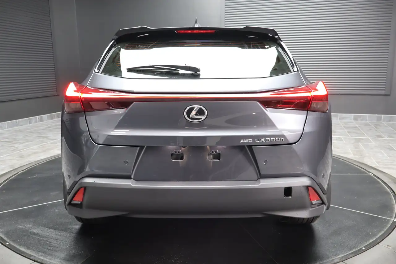 Lexus UX photo Lexus UX