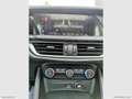 Alfa Romeo Stelvio 2.2 T.diesel 160CV AT8 RWD BUSINESS Nero - thumbnail 28