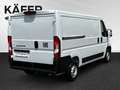 Fiat Ducato Ducato 30 L2H1 BlueHDi 120 S&S 30M Kastenwagen Blanc - thumbnail 6