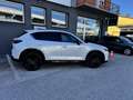 Mazda CX-5 CX-5 AWD Homura  184cv Weiß - thumbnail 36