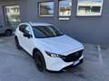 Mazda CX-5 CX-5 AWD Homura  184cv Weiß - thumbnail 32