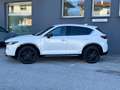 Mazda CX-5 CX-5  2.2 Homura  awd 184cv Белый - thumbnail 11