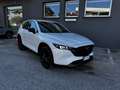 Mazda CX-5 CX-5 AWD Homura  184cv Weiß - thumbnail 35