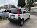 Fiat Panda Panda 1.3 MJT Van Active 2 posti Blanc - thumbnail 3